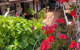 Hotel Casa Posada Don Chepe